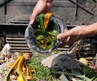 Waste Management Programs project