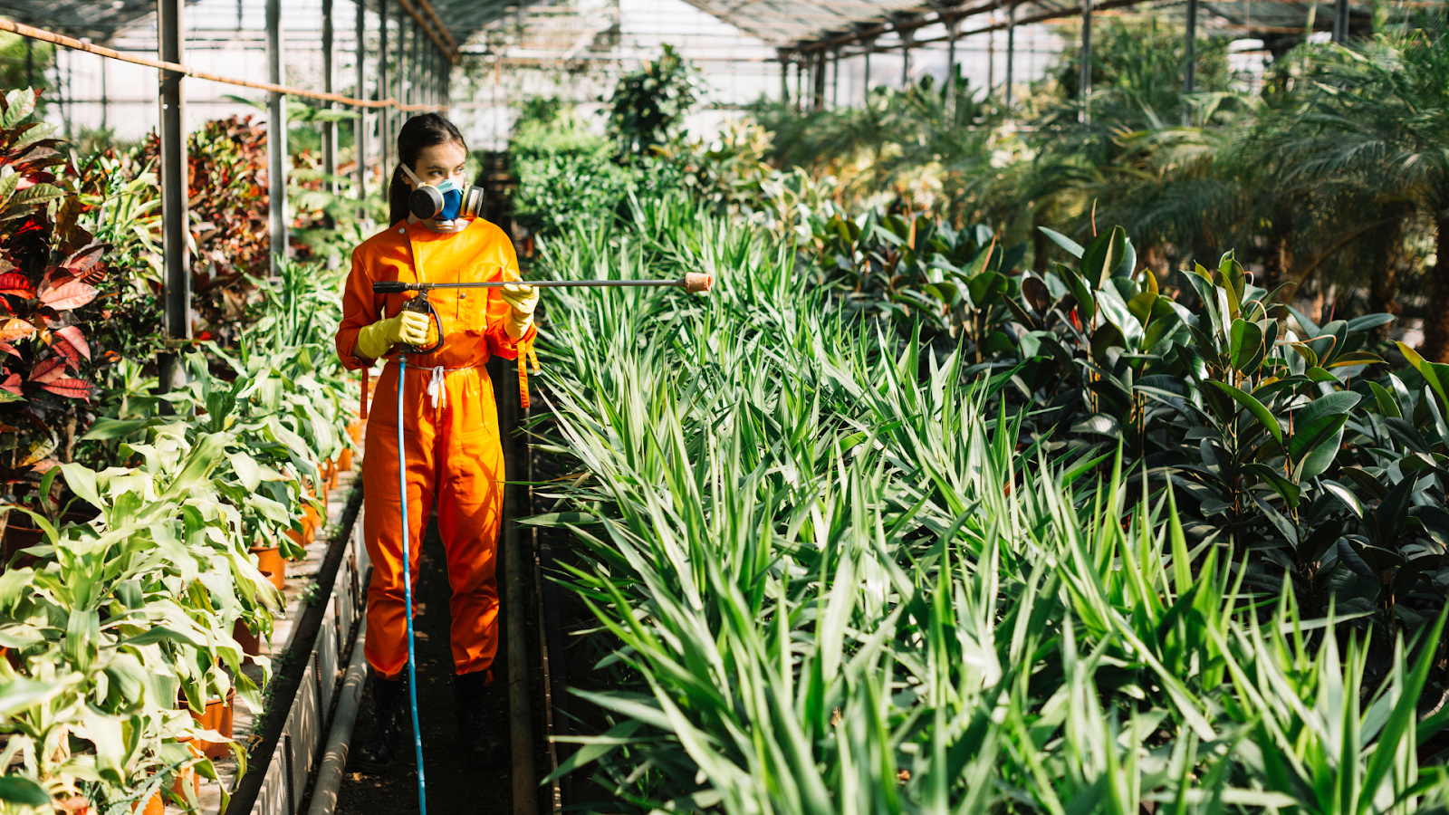 Modern Agriculture System Development project