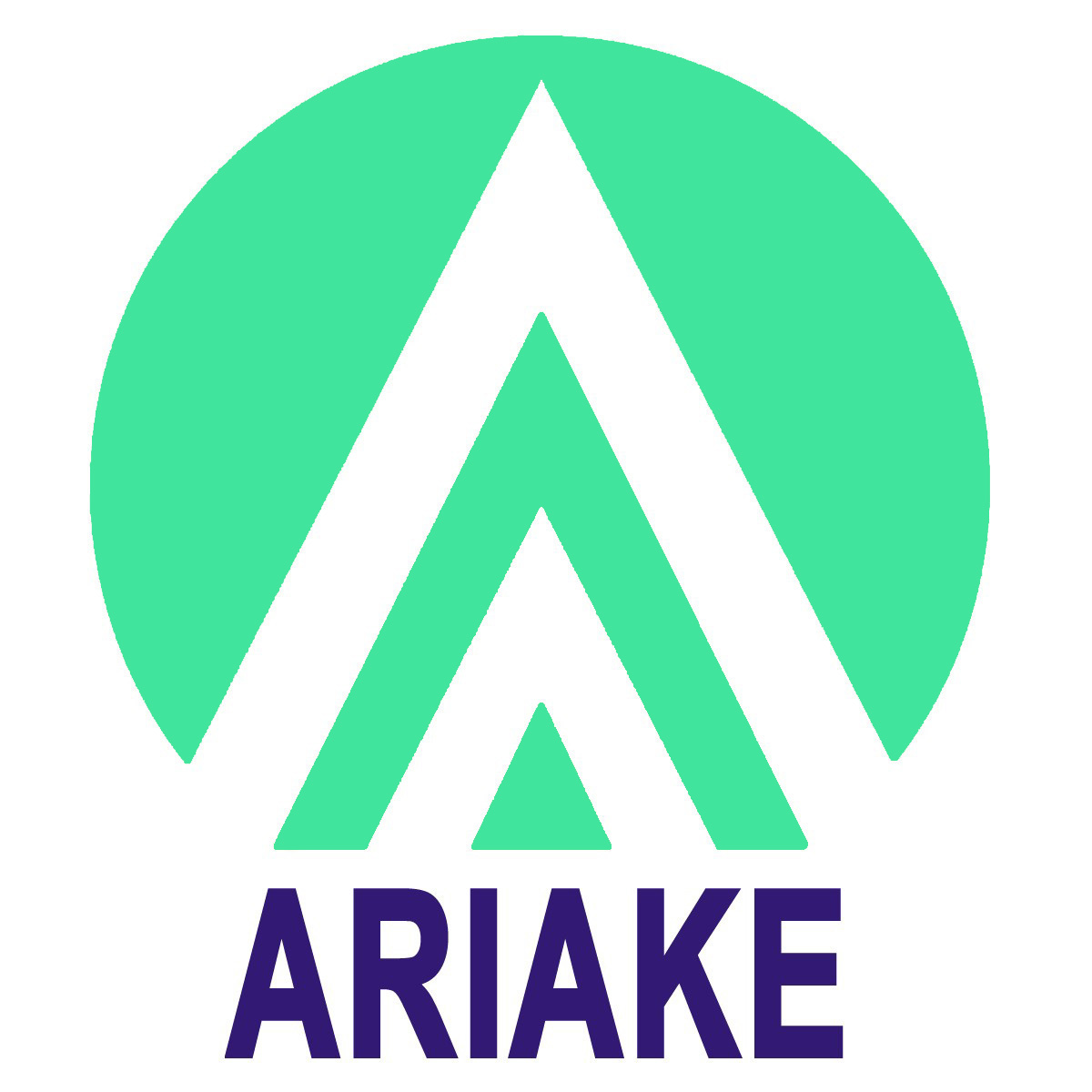 ARIAKE Co., Ltd. logo